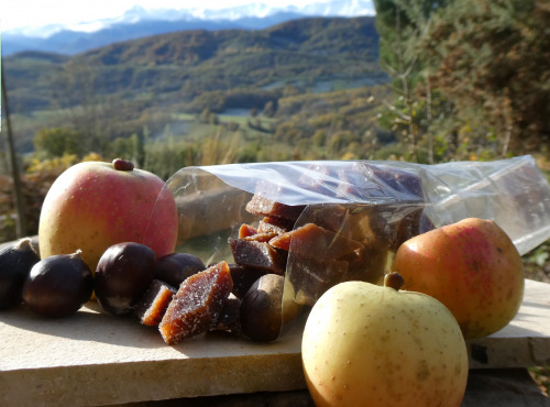 Terres EnVie - Pâtes de Fruits à La Châtaigne et à la Pomme Bio