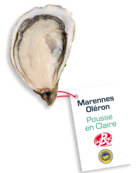 Les Huîtres Courdavault Alain & Fils - Pousse En Claire n°1 - 6 huîtres