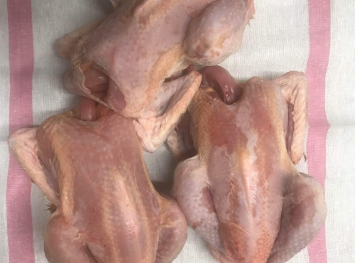 Des Poules et des Vignes à Bourgueil - Lot de 3 poules prêtes à cuire