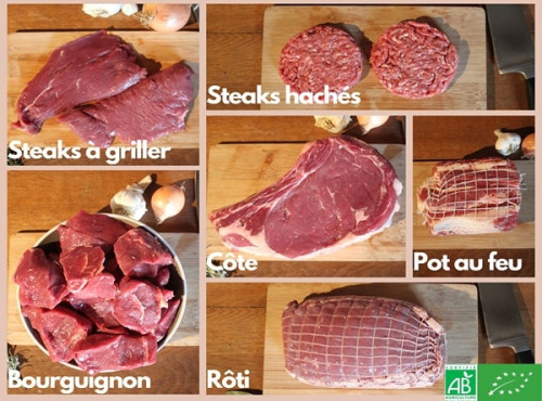 La Ferme DUVAL - [Précommande] Colis hiver steaks hachés de Bœuf Bio côte - 10 kg