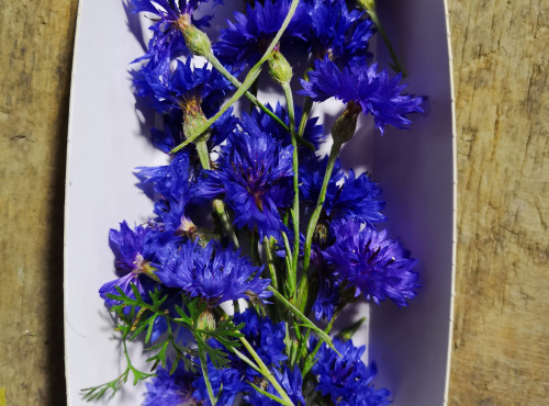 La Boite à Herbes - Fleur De Bleuet - Barquette 20g