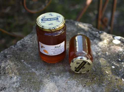 La Truite du Mézenc - Miel de Sapin - 500g