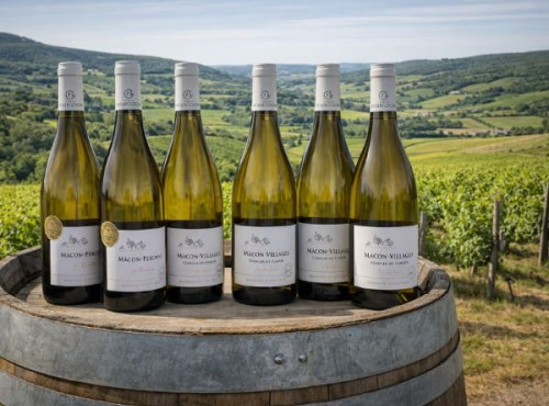 Domaine ROUX-GROS - Offre découverte vin Mâcon 2022 6x75cl