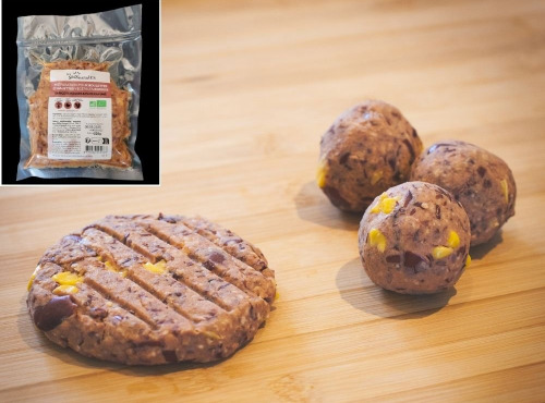 Les Saisissantes - Préparation pour boulettes et galettes végétales - haricots rouges & paprika fumé - 4 paquets de 220g
