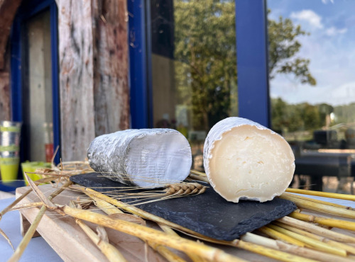 Ferme de La Tremblaye - Bûche de chèvre