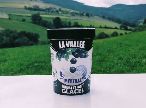 Les Glaces de la Vallée - Coffret Yaourt et fruits glacés à la myrtille "la Vallée" 12 pots de 500 ml