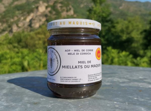 Les ruchers du Tavignanu - Miel de Miellats du Maquis AOP Miel deCorse