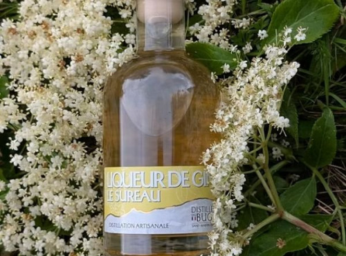 Distillerie du Bugey - Liqueur de gin au sureau 20cl