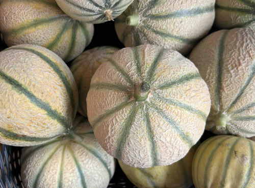 ChâteauFer - Melon