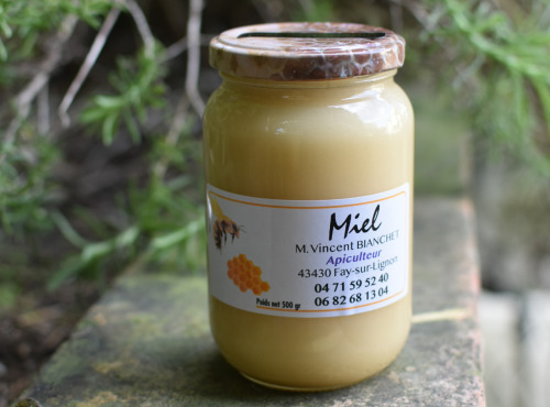 La Truite du Mézenc - Miel de Romarin - 500g