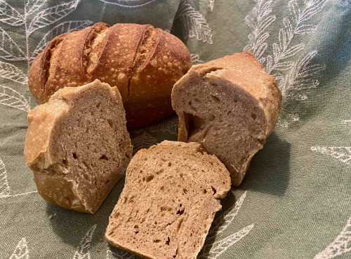 Ferme Sinsac - petits pains au levain 250 grs