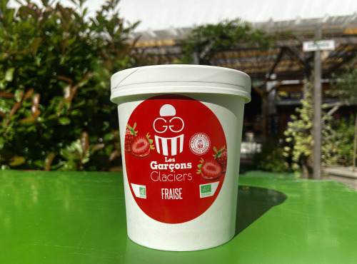 Les Garçons Glaciers - Sorbet BIO Fraise de Loire 500ml