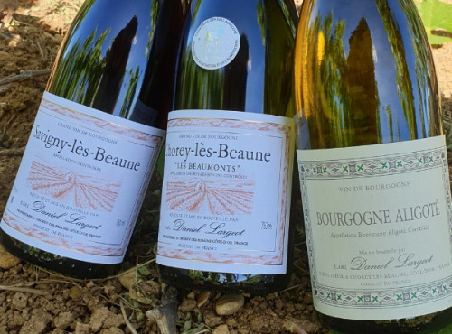 Domaine Daniel Largeot - Coffret Découverte du Domaine : AOC Savigny-lès-Beaune, Chorey-lès-Beaune et Bourgogne Aligoté