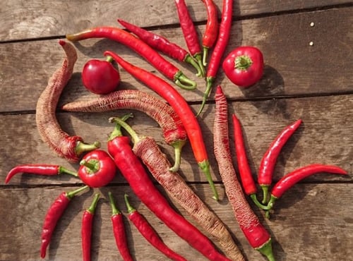 HERBA HUMANA - Piment frais pour harissa