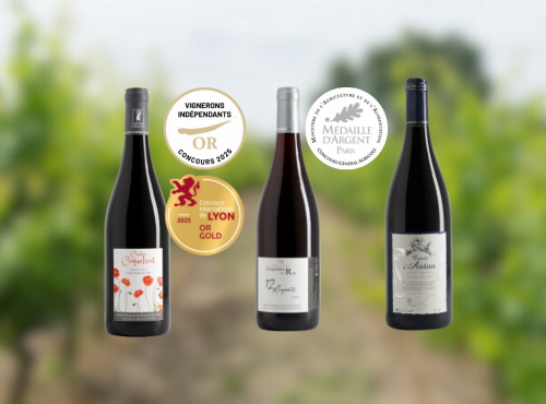 Domaine de la Chopinière du Roy - Coffret cadeau "A la découverte des vins rouges de Loire "- 3 x 75 cl