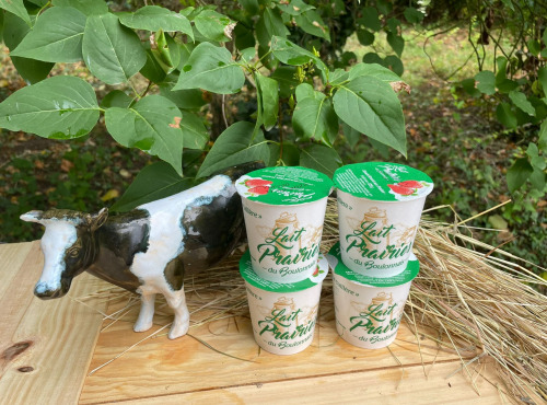 Lait Prairies du Boulonnais - Yaourt fermier brassé à la fraise x10