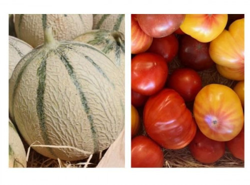 Domaine Reverchon - Melon du Vaucluse x2 + 2kg Tomates anciennes