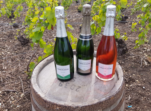 Champagne Deneufchatel - Champagne Deneufchatel Coffret Découverte 3 X 75 Cl
