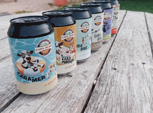 La Ferme des Cara-Meuh - Carton découverte 24 bières BIO 33 cl