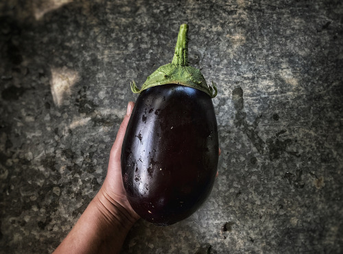 La Ferme d'Artaud - Aubergines - 2kg