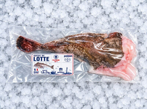 Mon Petit Poisson - Queue de lotte de Roscoff – 1,6 à 2 kg
