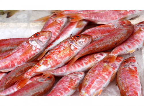 Luximer - Rouget Barbet 100/200 - Lot De 1kg
