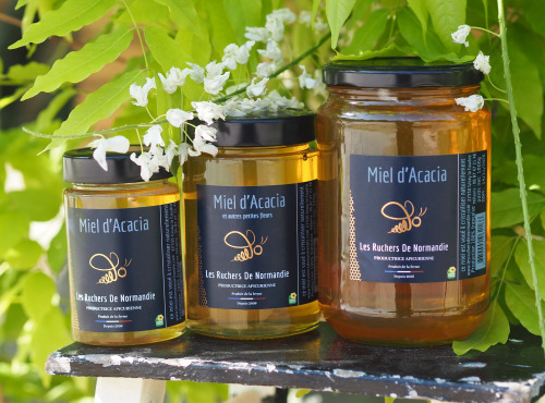Les Ruchers de Normandie - Miel d'Acacia 500g