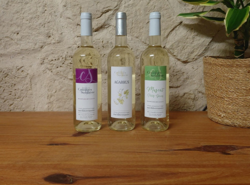 Domaine Les Conques Soulière - BLANC- 3 bouteilles Panaché 75 cl de Blanc IGP Méditerranée