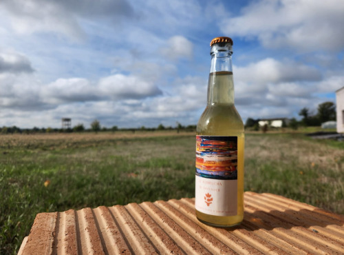 ChâteauFer - Le Kombucha