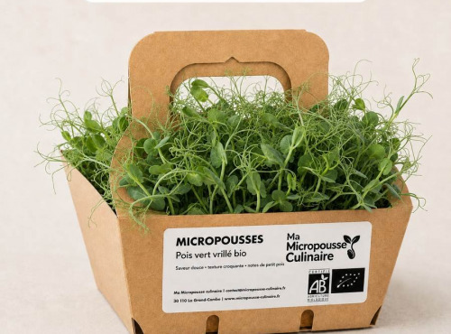 Ma Micropousse culinaire - Micro-pousses bio de pois vert – 8 barquettes