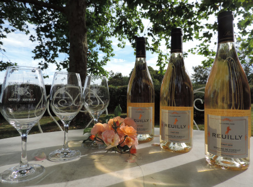 Domaine de Chevilly - AOC Reuilly Gris - La Licorne Rose - 3 Bouteilles