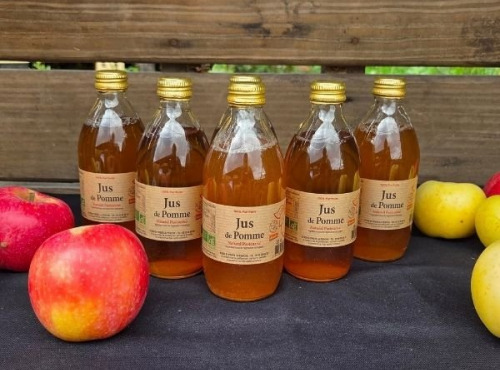 Le verger bio de Quinsac - Lot de 6 Jus de pomme 33cl BIO et DEMETER