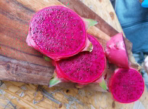 Eauzons ! - Pitaya rouge - fruit du dragon