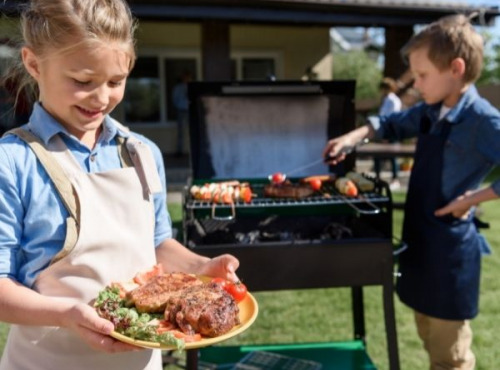 Domaine des Alliers -  Bœuf d'exception - Colis enfants gourmets (de 1 à 101 ans), bœuf AOC Maine-Anjou, BIO – 3 kg   [SURGELÉ]