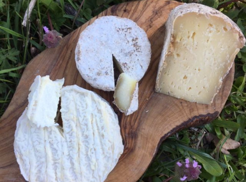 Ferme Fromagère Riès - Plateau De 3 Fromages Fermiers de Brebis