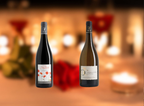 Domaine de la Chopinière du Roy - Lot 2 bouteilles  - Vin de Loire Rouge et Blanc sec et aromatique - 2 x 75 cl