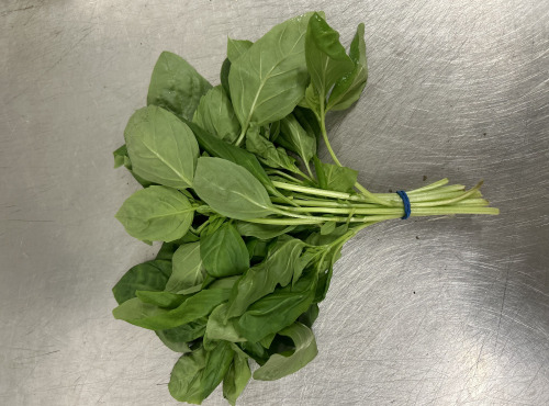 Les Herbes du Roussillon - Basilic Frais