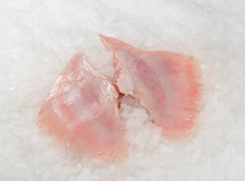 Côté Fish - Mon poisson direct pêcheurs - Ailes De Raie