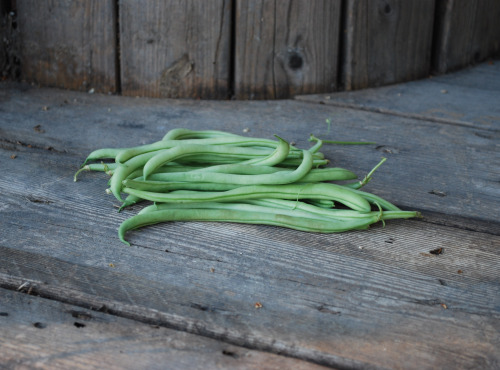 La Boite à Herbes - Haricots Vert - 100g
