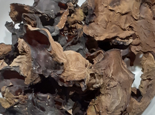 Rébecca les Jolies Fleurs - Champignons séchés : Oreille de juda