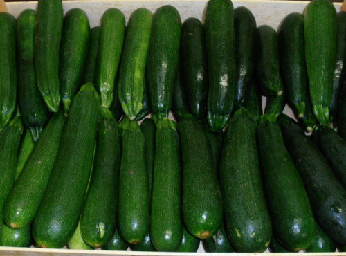 Multiproductions - Cédric Joliveau - Courgette Verte, 1kg