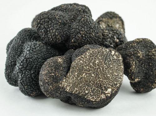 ALENA la Truffe d'Aquitaine - [Précommande] Truffe Noire Du Périgord Fraiche Tuber Melanosporum Morceau - 250g