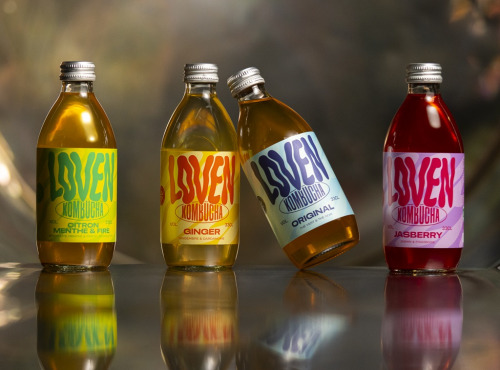 LOVEN Crew - Brasserie L'Indispensable - Kombucha Pack Addict - 24x33cl