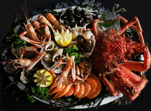 Luximer - Plateau de Fruits de Mer frais Du Gourmet - 2 Personnes