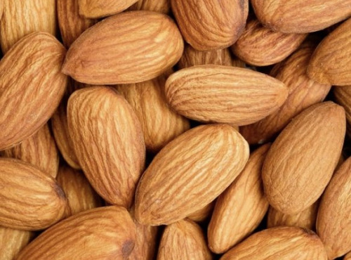 L'OLIVERAIE DU COUDON - AMANDES DÉCORTIQUÉES – 200 G