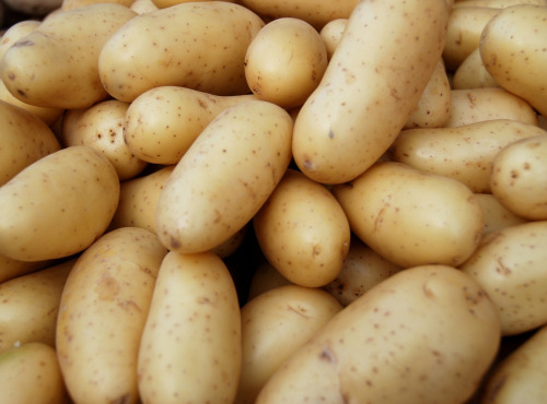 Maréchal Fraicheur - Pommes de terre Jazzy - 1 kg