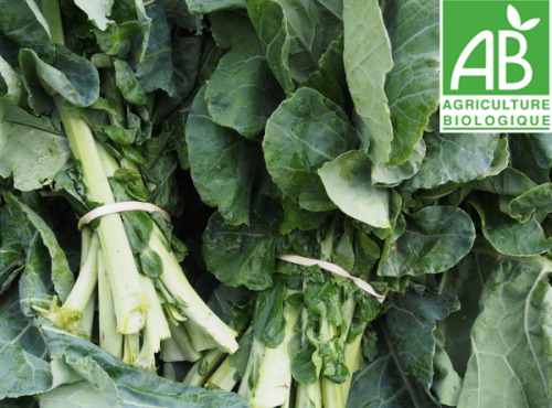 Mon Petit Producteur - Grand Chou Vert [la Botte De 500g]