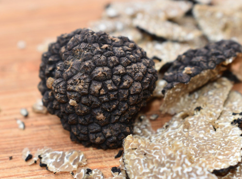 Truffes des Roches - Truffe d'été fraîche FRANCE - 100g