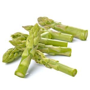 Le Châtaignier - Tête d'asperge