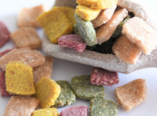 Adal Terra - Pâtes - Carrés De Pâtes Demeter Blé Ancien Complet Aux Légumes 500G